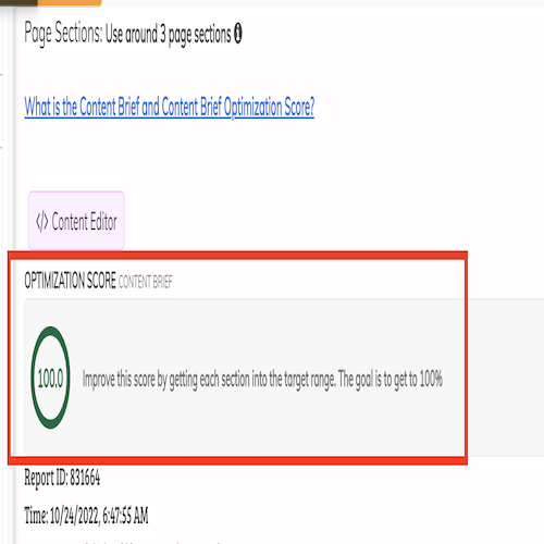 Optimization Score with every content copy order. Along with CopyScape and Schema recommendation.  purposemind.com